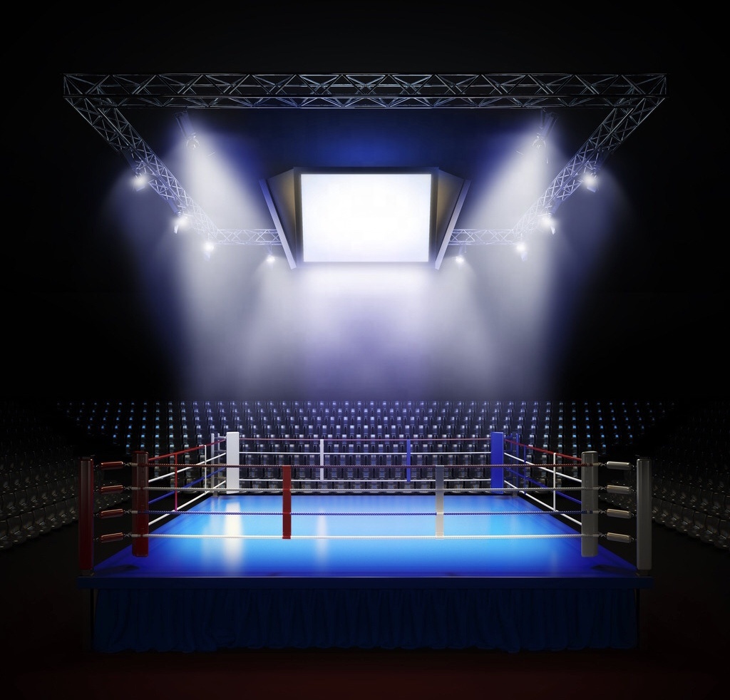 Hot Sale Boxing Ring Professional International Standard Competition Boxing Ring