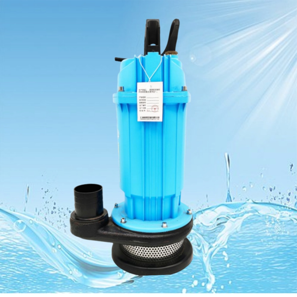 QDX 1/2 hp 220v Electric Drainage Pump Submersible 1 Inch Deep Well Submersible Water Pump