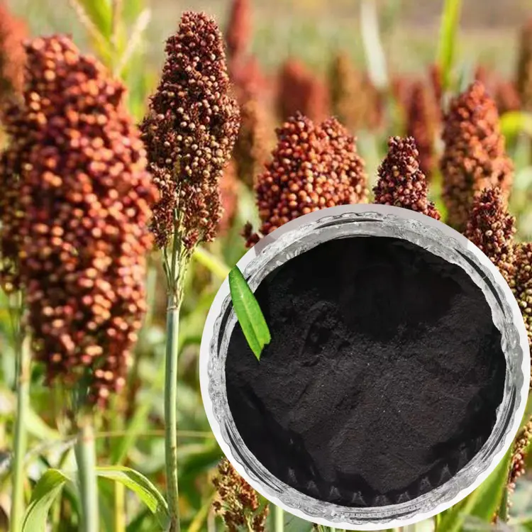 mineral source humic acid humin fertilizer for crops rapid growth