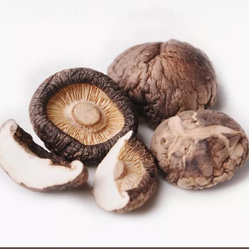 Высокое качество сушеный гриб shitake органические сушеные продукты питания шиитаке гриб оптовая цена