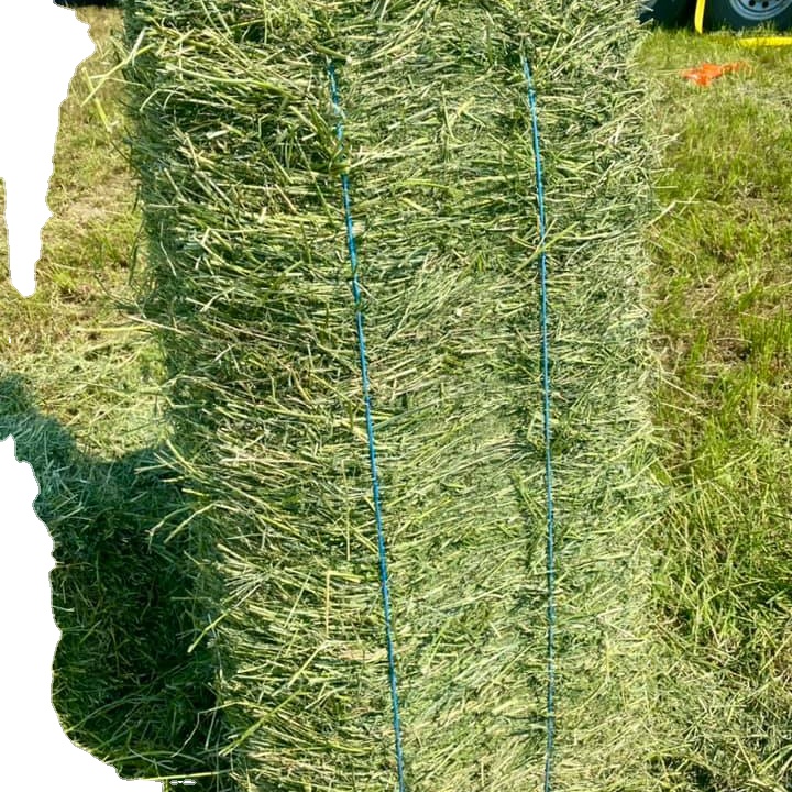 Premium Western Quality Alfalfa hay in 3x3...