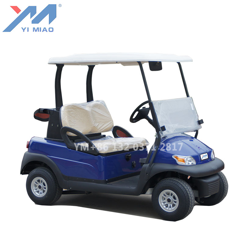 Factory prices 2 seater mini electric golf carts for sell