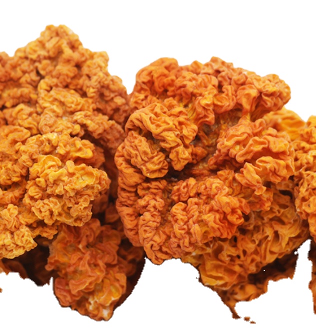 Dried wild whole raw yellow golden ear fungus Tremella aurantia