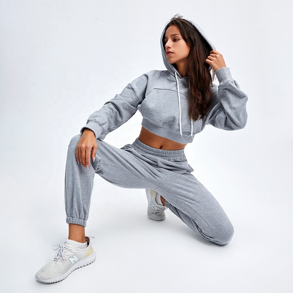 Winter Long Sleeve Women Casual Two Piece Sweat Set Hoodie Women Crop Top Hoodie Set Long Sleeve Sport Outfits Tracksuit