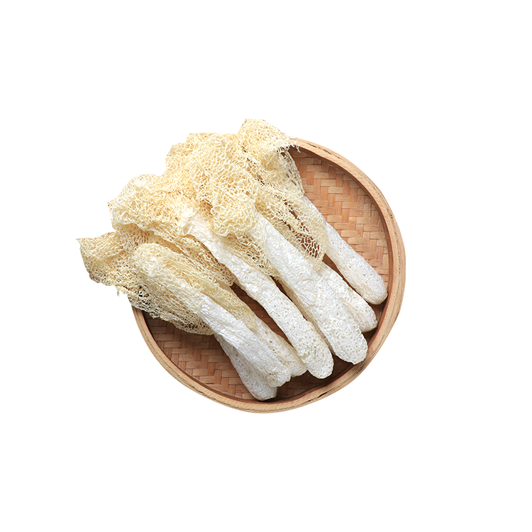 Food Grade Natural Bamboo Fungus Dried Bamboo Fungus