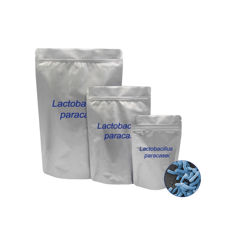 Лиофилизированный лактоbacillus paracasei HH-LP58 100 млрд cfu/g пробиотики, объемный порошок, пищевая добавка, питание для здоровья