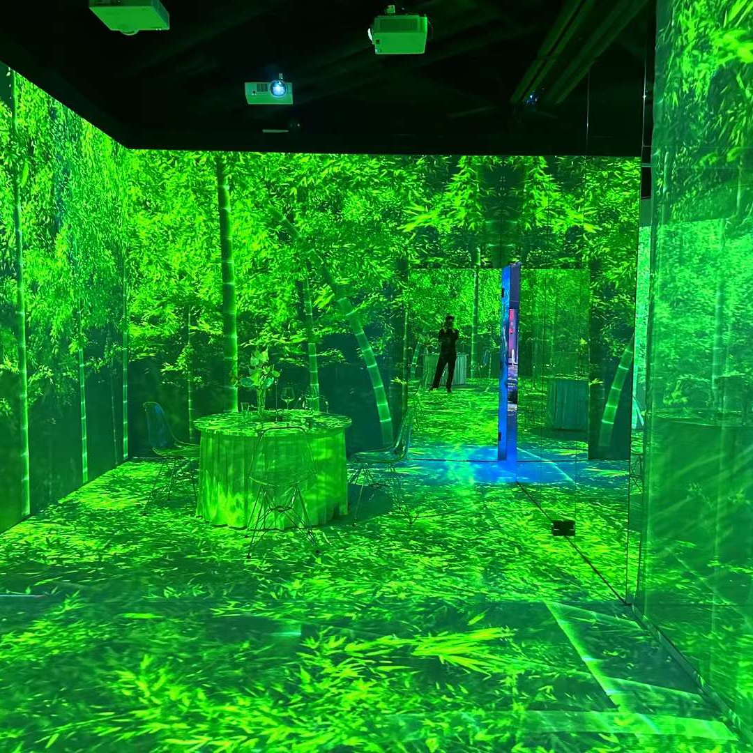 Дети захватывающий интерактивный проектор игры интерактивный пол 3D Голограмма проекционная система.