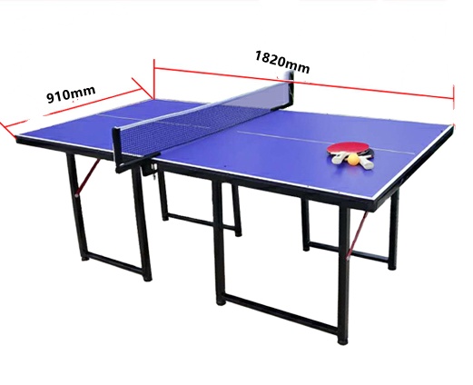 Indoor Protable Table tennis table for Kids