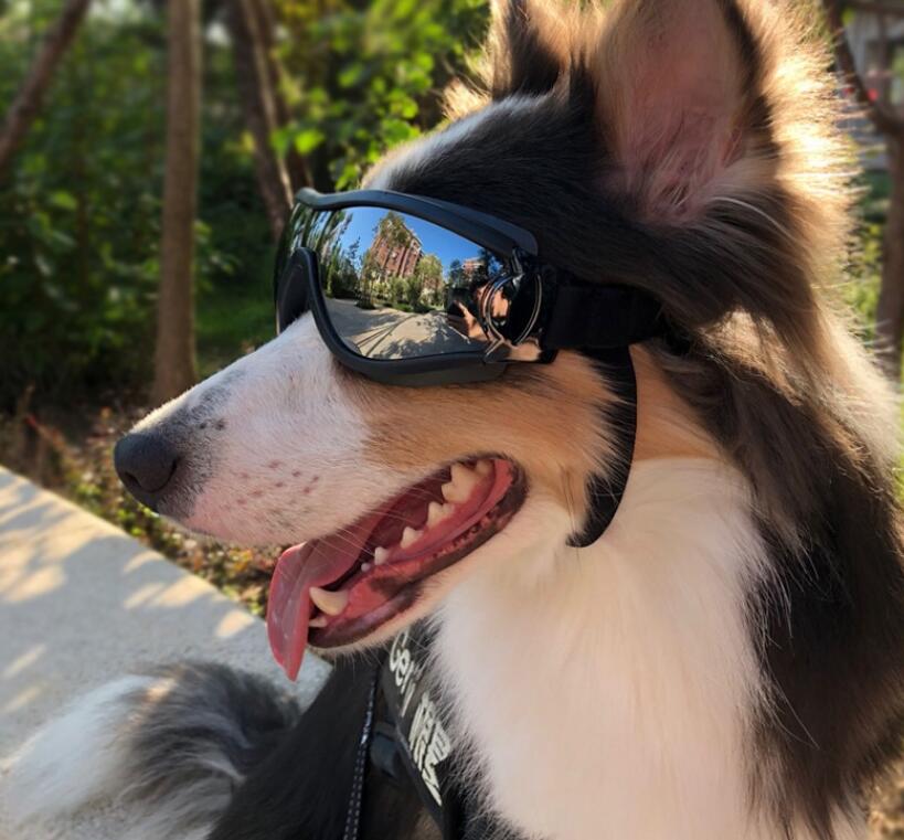 Hot Selling Dog Sunglasses Dog Goggles with Waterproof Windproof UV Protection