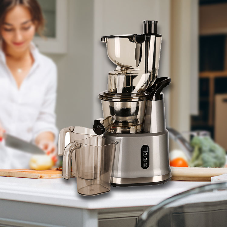 Top Quality Commercial Smoothie Extractor Slow Cold Press Juicer Exprimidor De Frutas Entsafter Jusar Machine Fruit Juicer