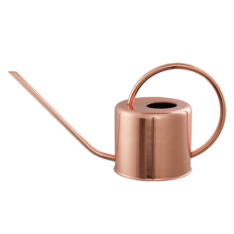 Gardening long nozzle stainless steel watering pot household sprinkling pot for houseplants