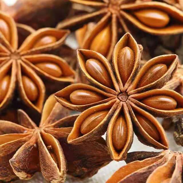2021 горячая Распродажа guangxi сушеные звезды Aniseeds заводская цена Спайс звезда анис