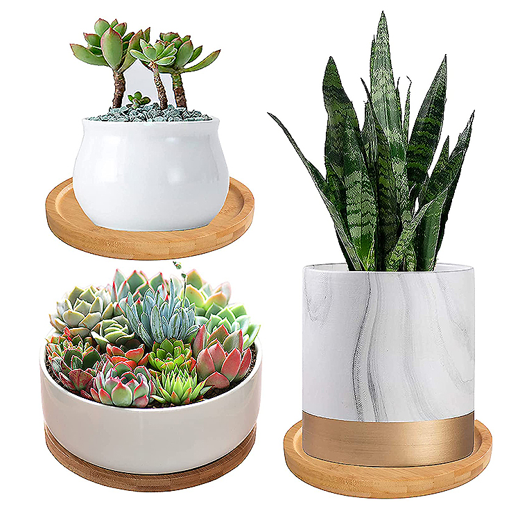 Bamboo Plant Saucer Suitable for 6-8 inch Plant Pots Plant Tray Durable Saucers for Indoors