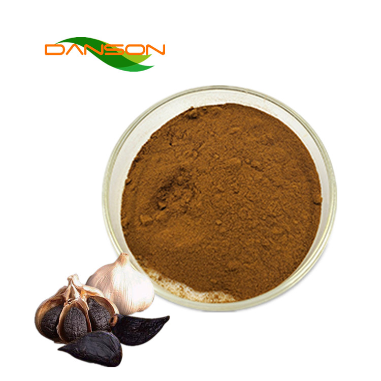 Natural Food Grade 10:1 Black Garlic Extract Powder