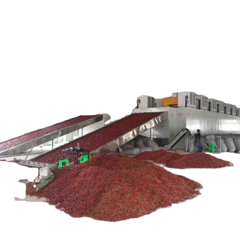 India continuous heat pump dryer Thailand pepper Capsicum dryer mesh belt air energy drying machine for chili spice