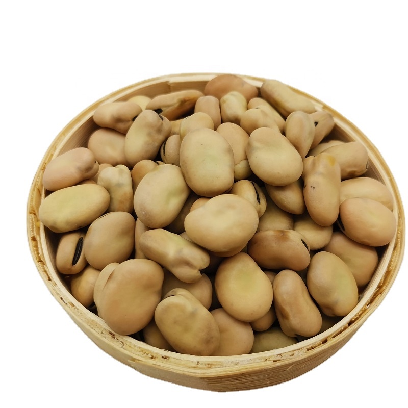 Wholesale 2020 new crop dried Fava bean/ Faba bean in shell for canned
