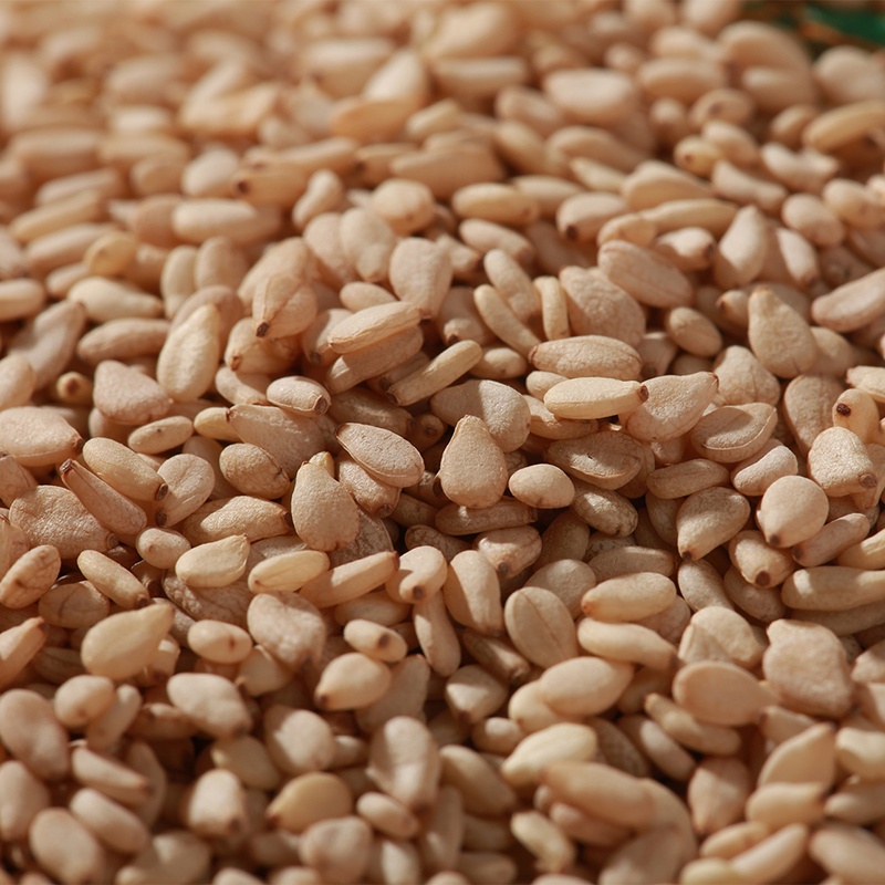 HACCP Лучшая цена без ГМО белый кунжут для экспорта