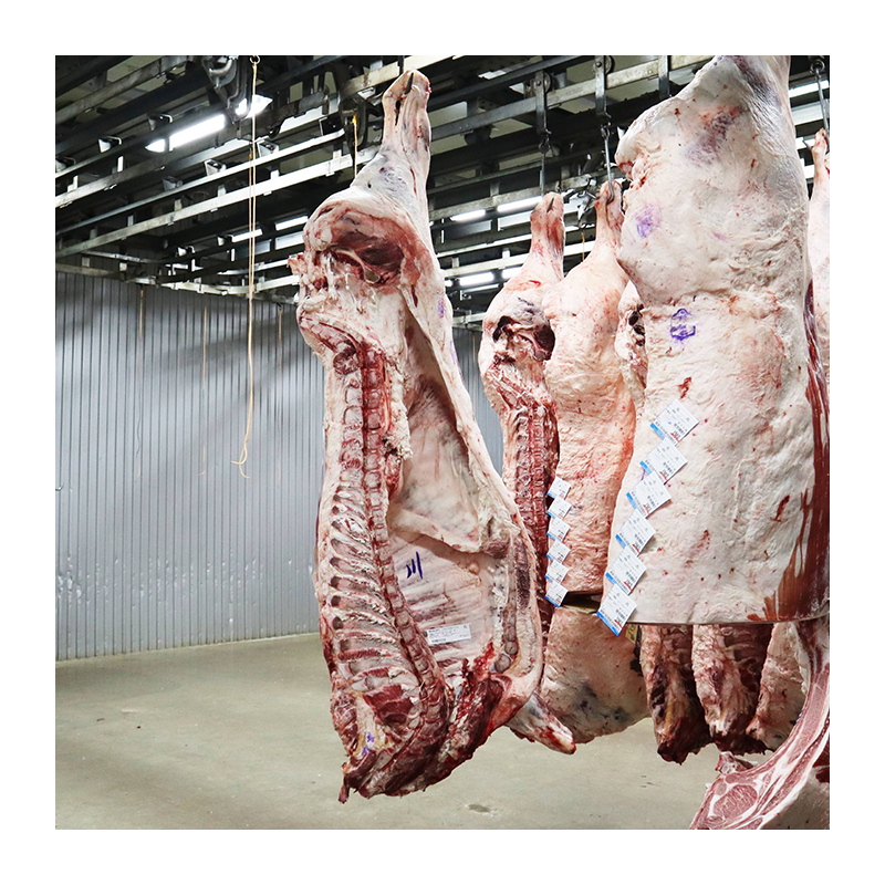 Япония высокое качество низкая цена a5 wagyu замороженная говядина для оптовой продажи