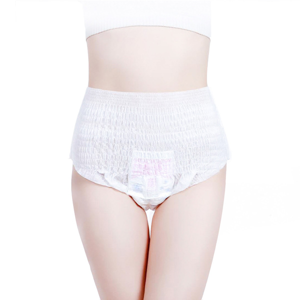Disposable Private Label Sanitary Napkins Organic Lady Menstrual Pants