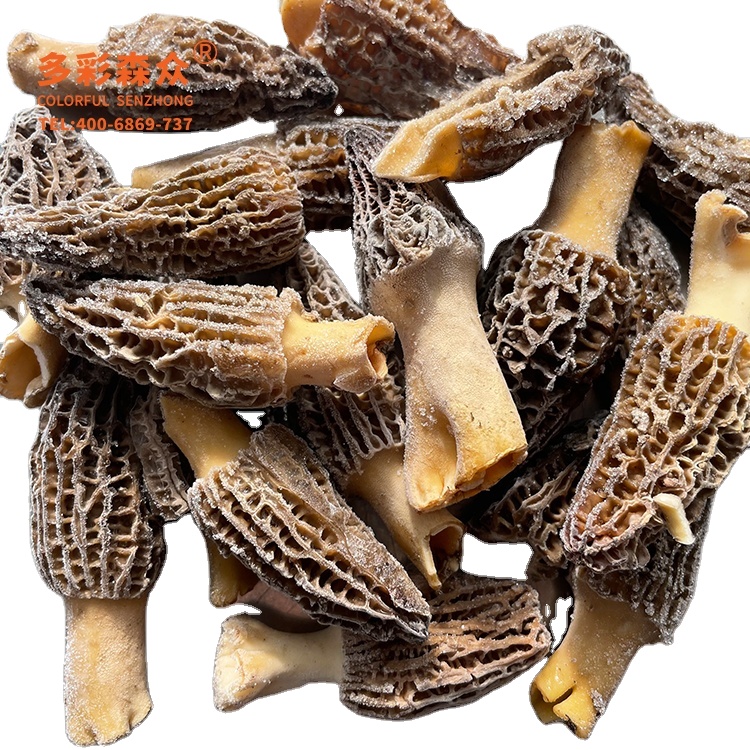 Factory direct sale of wild mushrooms frozen morels mushroom for Restaurant Hotel