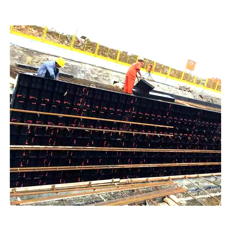 High Quality Geoplast Modular Plastic Column Panel Wall Formwork
