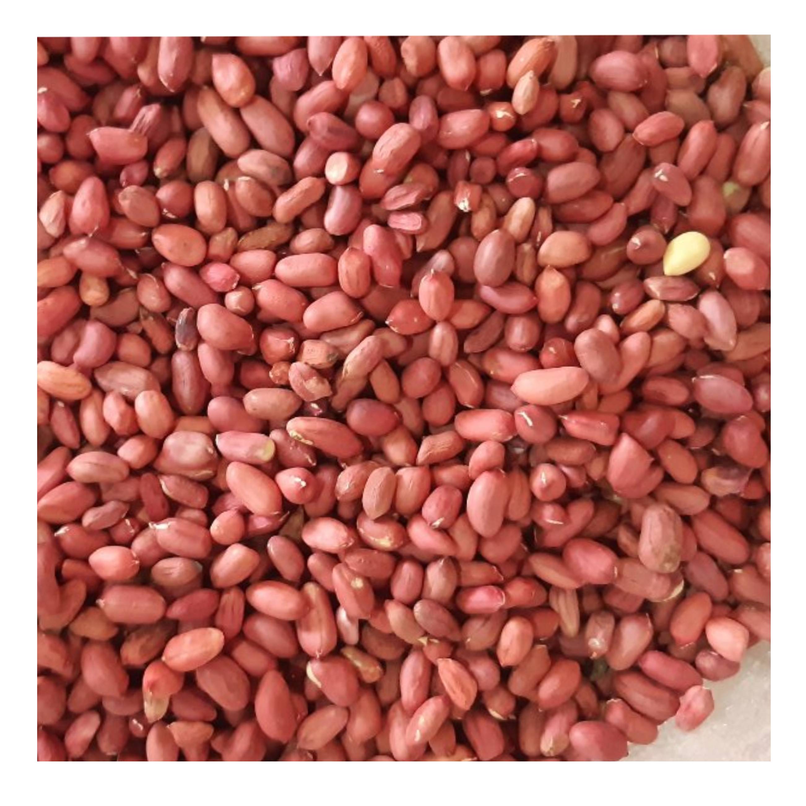 High protein red skin peanut kernels in bulk form Uzbekistan manufacturer wholesale price for export
