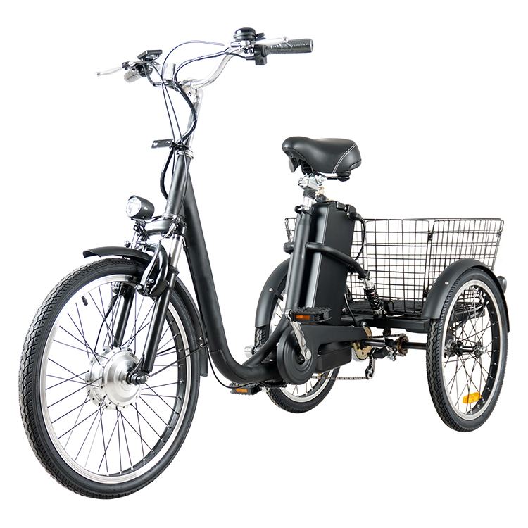 Factory price 3 wheel electric trike 36V 250W adult electric tricycle with single gear