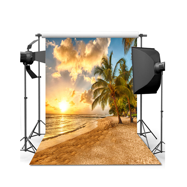Виниловый фон для фотосъемки в помещении sudio beach