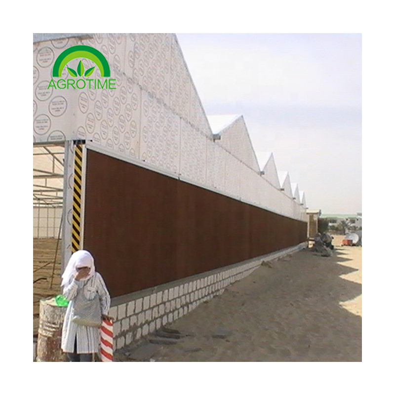 hot galvanized steel greenhouse polycarbonate greenhouse sharp roof greenhouse with smart farm