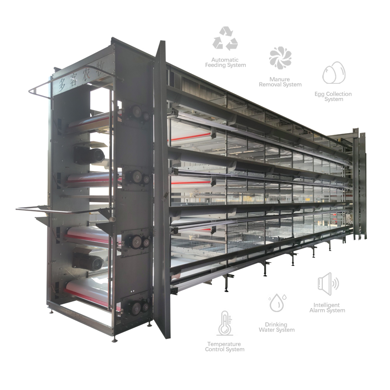 Wholesale Industrial poultry fully automatic design egg layers battery used in chicken cage system for sale