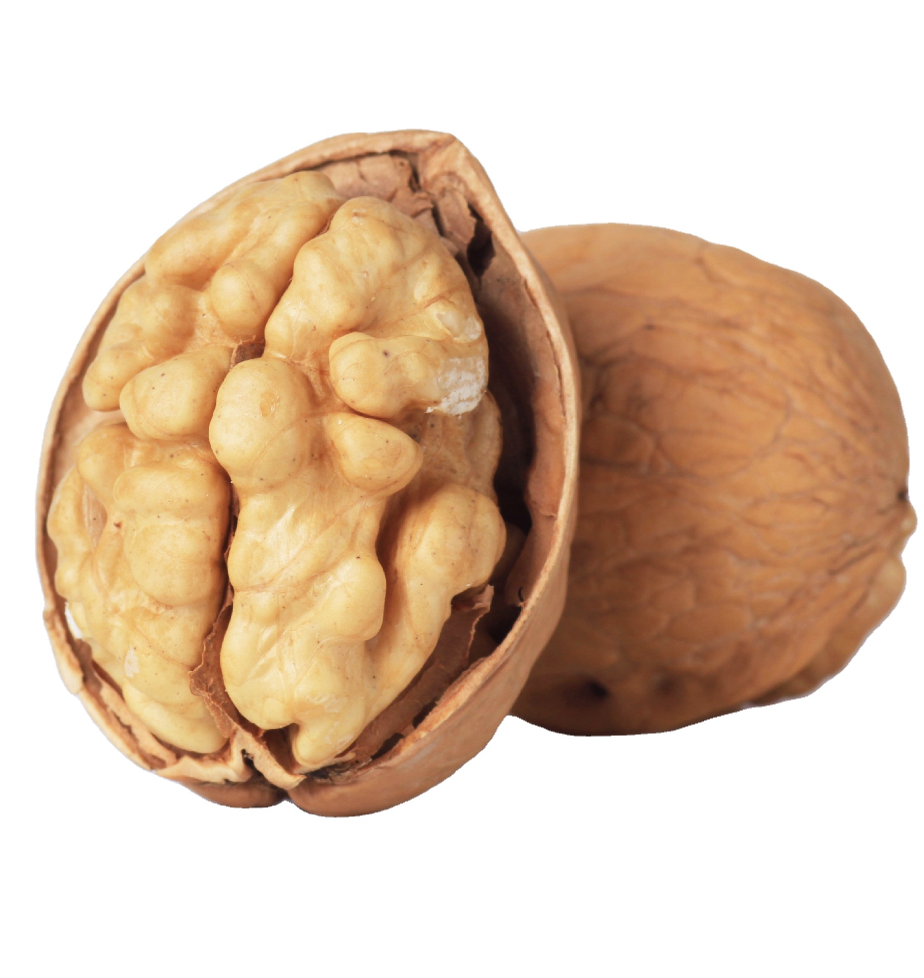 Wholesale high quality delicious fresh china walnut in shell