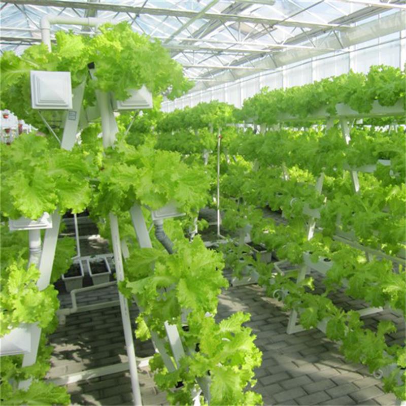 Коммерческие ПВХ Гидропонные системы для выращивания на продажу вертикальной гидропоники
