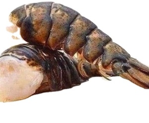 Factory Price Cheap Frozen Lobster/Frozen Crawfish Tails Crayfish For sale