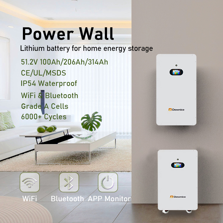 OEM ODM 48V 51.2V Lifepo4 Lithium Battery Smart BMS Protected IP54 Home Energy Storage Power Wall 300ah 100ah