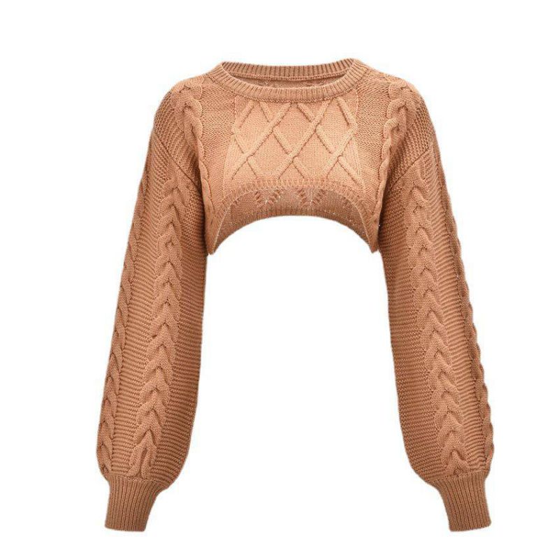 2021 New fashion winter solid Knitted crew neck short sweater chompa Sweaters women sweaters fashionable