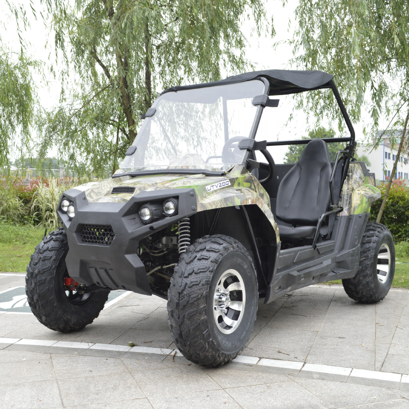 Производитель Китай новейшая модель Электрический UTV 1500 Вт 2000 UTV электрическая с четырьмя колесами UTV