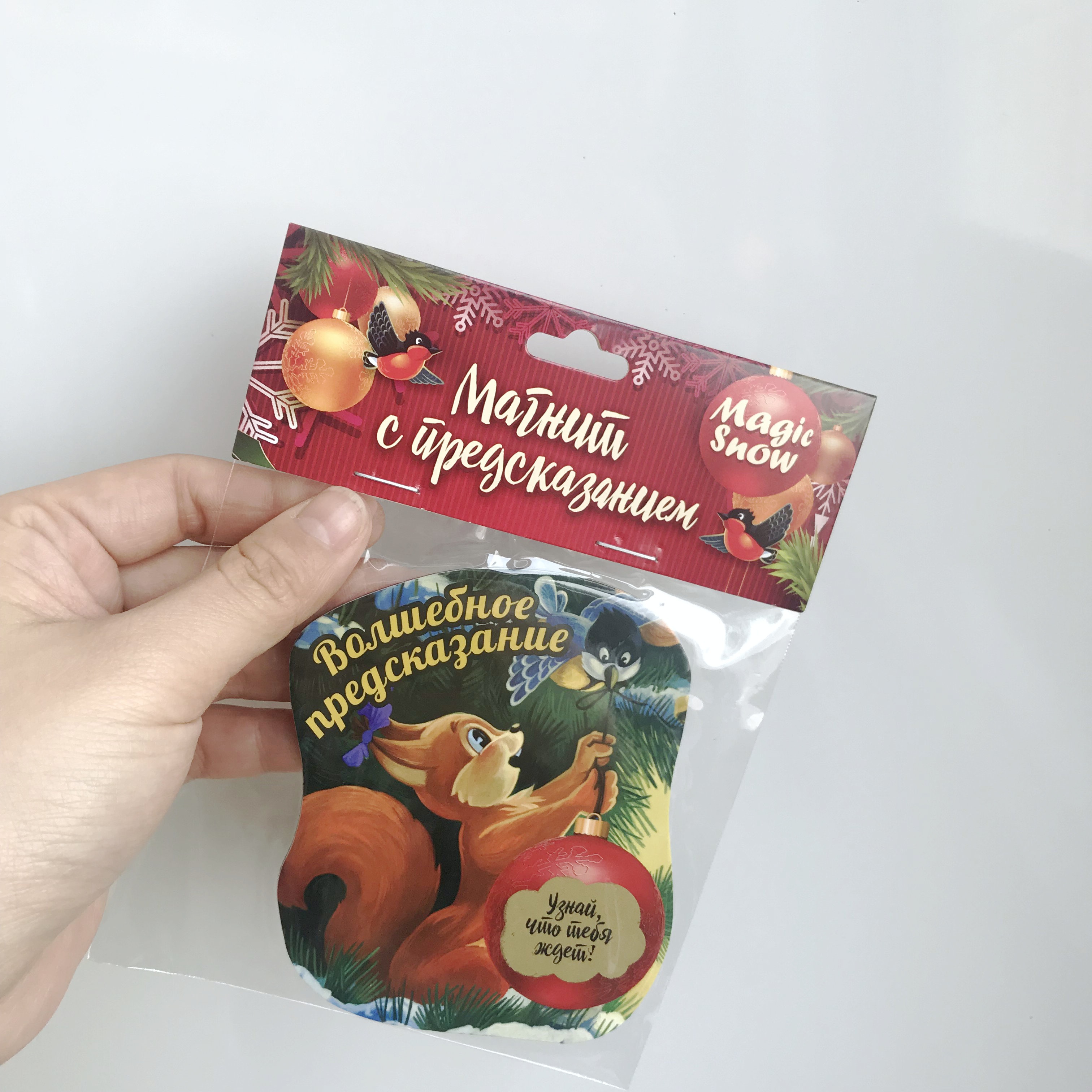 Fridge Magnet with independent packing