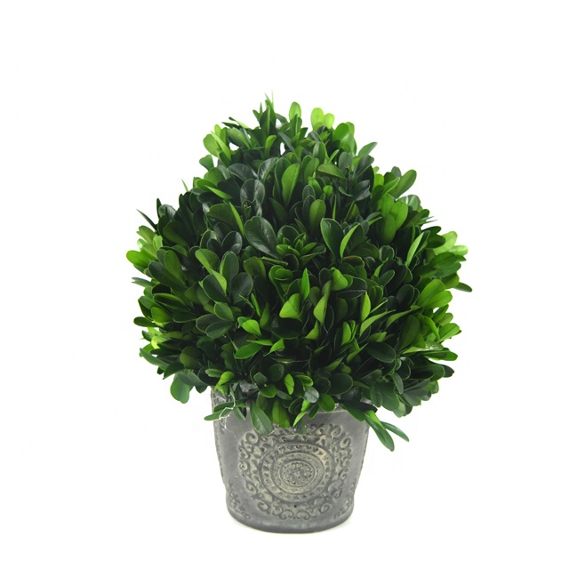 Украшения ручной работы topiary potting для дома и офиса натуральный декоративный миниатюрный консервированный ящик