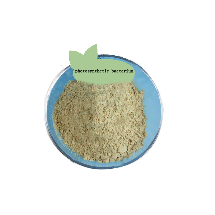 Многофункциональные пробиотические бактерии-Bacillus subtilis Probiotics Bacillus Subtilis для креветок бактерицидный Высокий Белок