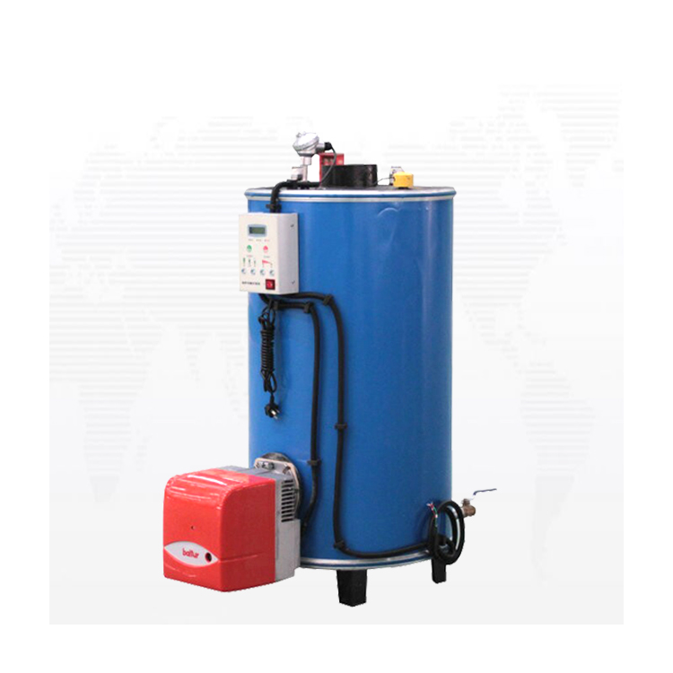 Small Vertical Gas Fired Hot Water Boiler for hotel