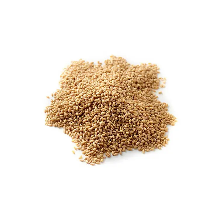 PREMIUM QUALITY wheat grain in bulk grain of wheat bulbs wheat grain grade 1