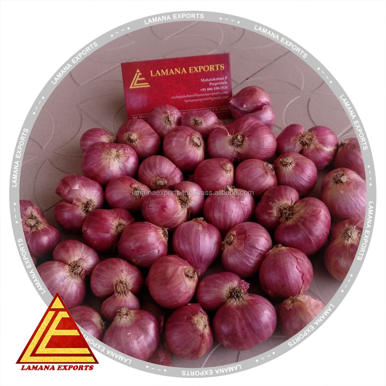 Podisu Shallot for Singapore 27 mm