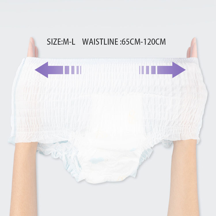 Premium soft disposable ladies sanitary napkins panty with menstrual pad