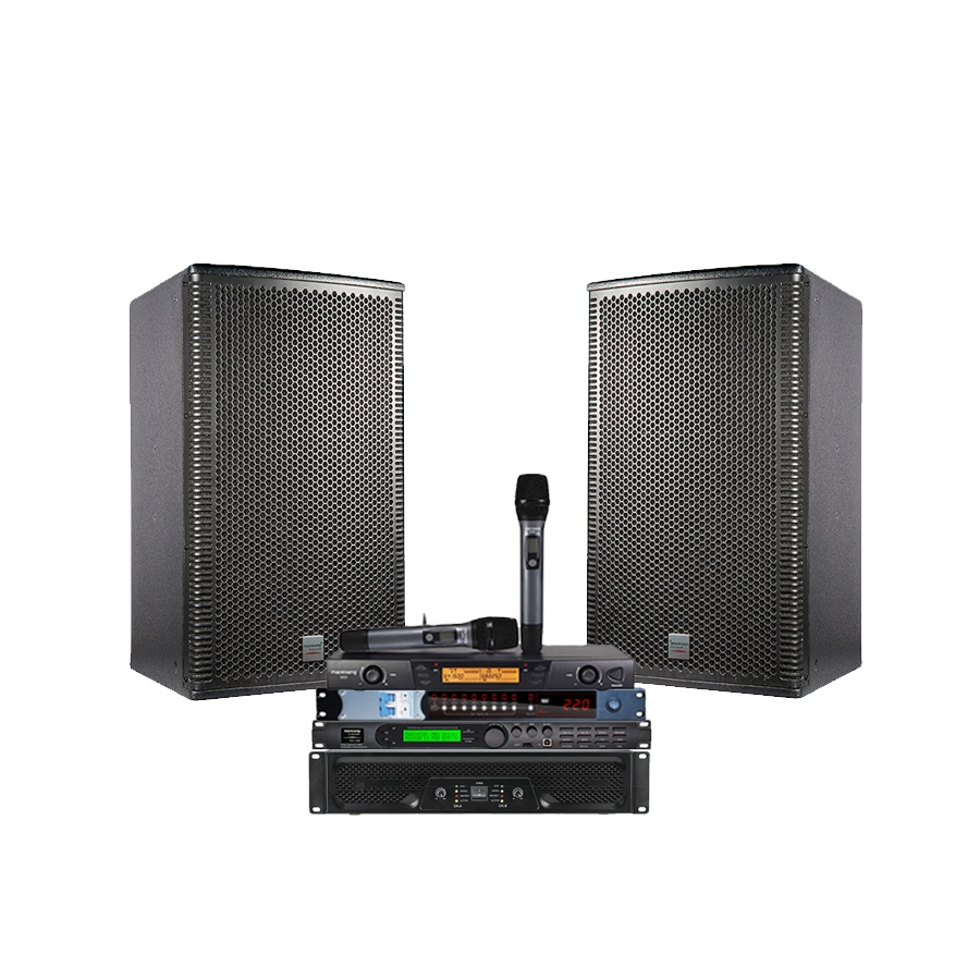 Chinese Professional Audio Macrosang HK-10A Professional Audio System