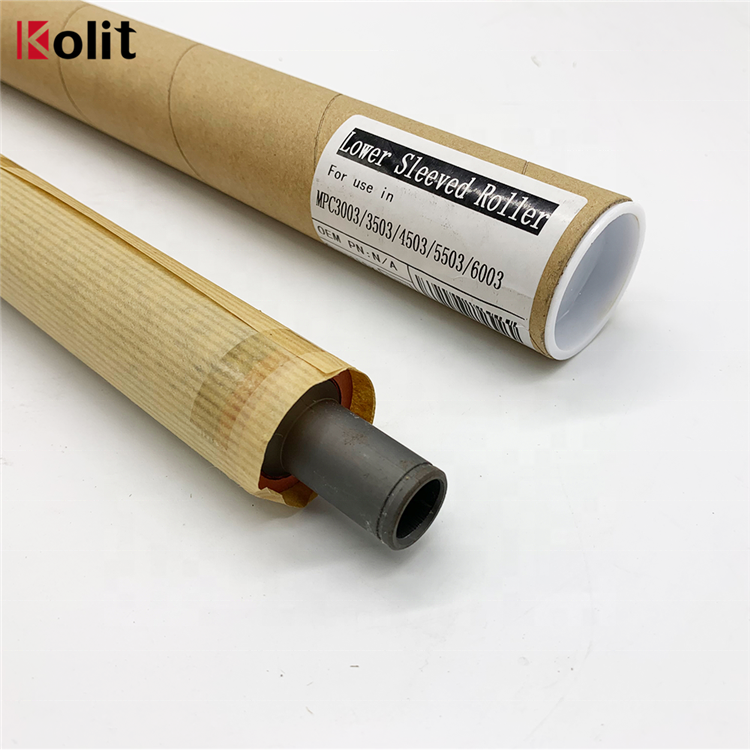 Японский нижний фаллоимитатор для RICOH MP C3003 C3503 C4503 C5503 C6003