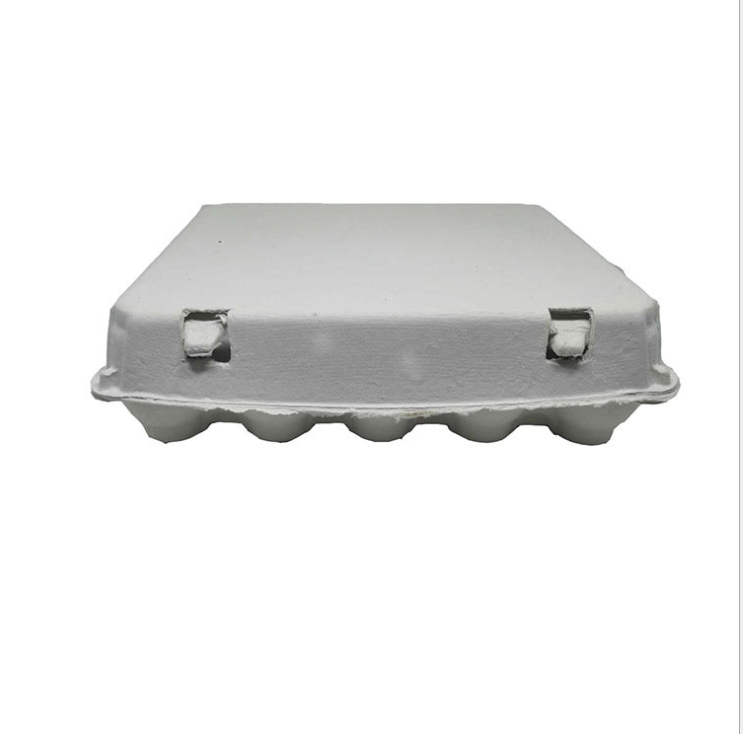 Multi Holes Egg Tray Wholesale 20 Compartment Clamshell Box For Egg