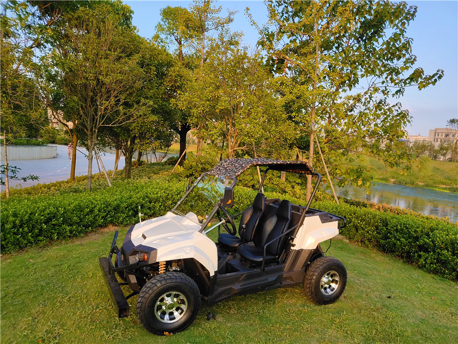 4x4 4x2 1000 Вт 2wd или 4wd багги для песка 400cc Быстрый Atv 4000 Вт 800cc 4*4 ферма X 5000 Вт Электрический Utv 4
