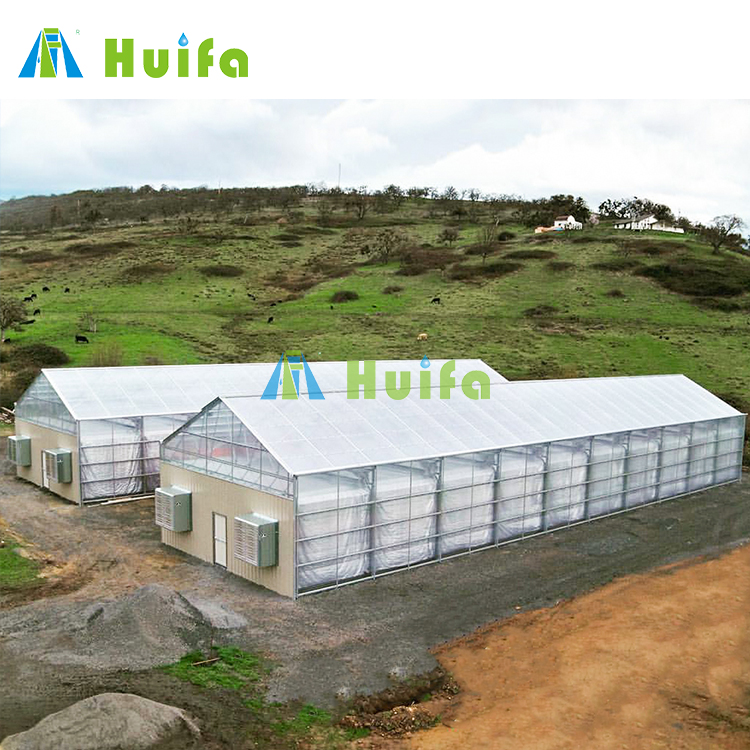 Huifa Greenhouse Galvanized Steel Material 30 X 120 Ft Greenhouse