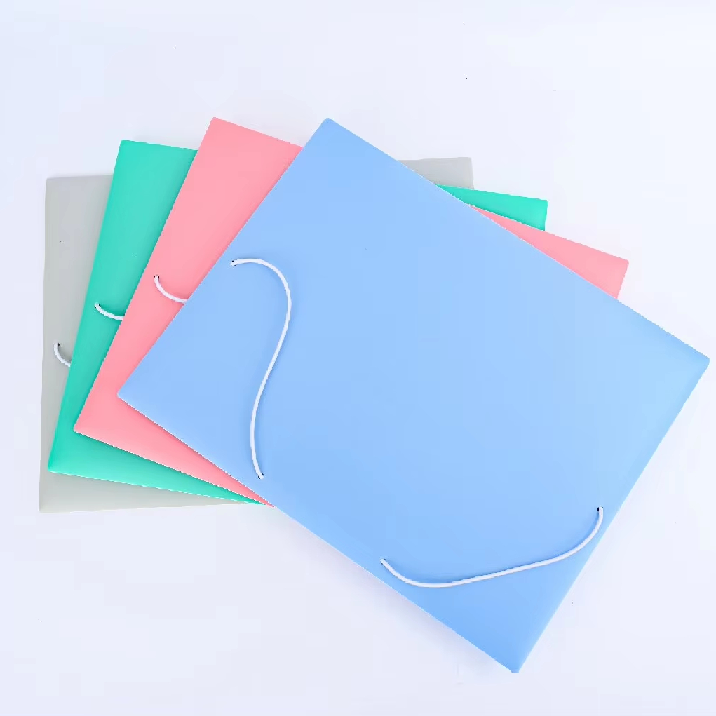 Factory Customized Wholesale High Quality Plastic Pocket Elastic File Folder
