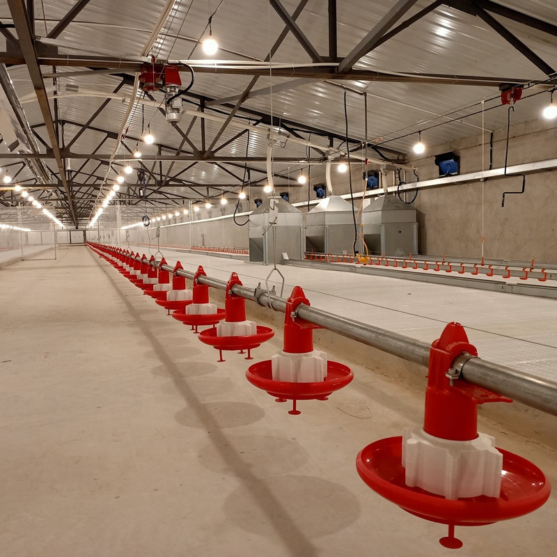 Automatic Feed Line Chicken Raising Machine, Complete Pan Feeder, Trays System, Broiler Poultry Equipment
